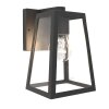Applique murale d'extérieur Lutec FIA Noir, 1 lumière