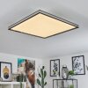 Plafonnier Nabbas LED Noir, Blanc, 1 lumière