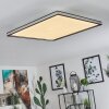 Plafonnier Nabbas LED Noir, Blanc, 1 lumière