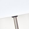 Lampe de table Niukkala Nickel mat, 1 lumière