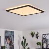 Plafonnier Boyero LED Noir, Blanc, 1 lumière