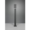 Borne lumineuse Trio Avon LED Anthracite, 1 lumière