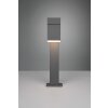 Borne lumineuse Trio Avon LED Anthracite, 1 lumière