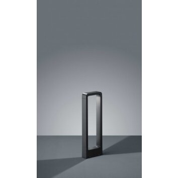 Borne lumineuse Trio RENO LED Anthracite, 1 lumière
