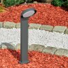 Borne lumineuse Kelo LED Anthracite, 1 lumière