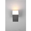 Applique murale d'extérieur Trio Avon LED Anthracite, 1 lumière