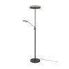 Lampadaire Trio Franklin LED Anthracite, 2 lumières