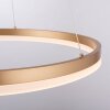 Suspension Leuchten-Direkt TITUS LED Laiton, 1 lumière