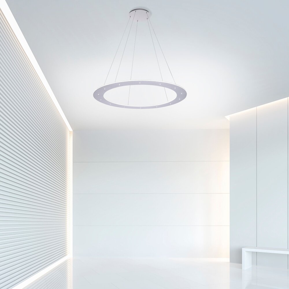 Suspension Paul Neuhaus PURE-COSMO LED Aluminium, 25 lumières, Télécommandes main product photo