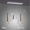 Suspension Paul Neuhaus PURE-GEMIN LED Aluminium, Noir, 10 lumières