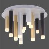 Plafonnier Paul Neuhaus PURE-GEMIN LED Aluminium, Noir, 12 lumières