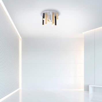 Plafonnier Paul Neuhaus PURE-GEMIN LED Aluminium, Noir, 12 lumières