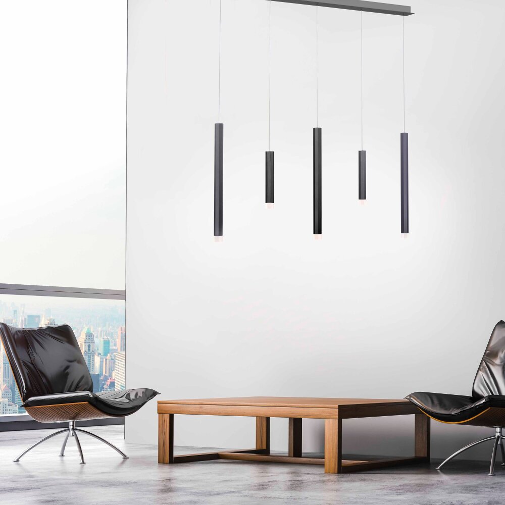 Suspension Paul Neuhaus PURE-GEMIN LED Aluminium, Noir, 5 lumières main product photo