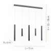 Suspension Paul Neuhaus PURE-GEMIN LED Aluminium, Noir, 5 lumières