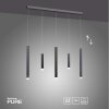 Suspension Paul Neuhaus PURE-GEMIN LED Aluminium, Noir, 5 lumières