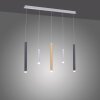 Suspension Paul Neuhaus PURE-GEMIN LED Aluminium, Laiton, Noir, 5 lumières