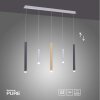 Suspension Paul Neuhaus PURE-GEMIN LED Aluminium, Laiton, Noir, 5 lumières