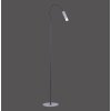 Lampadaire Paul Neuhaus PURE-GEMIN LED Aluminium, Noir, 1 lumière