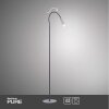 Lampadaire Paul Neuhaus PURE-GEMIN LED Aluminium, Noir, 1 lumière