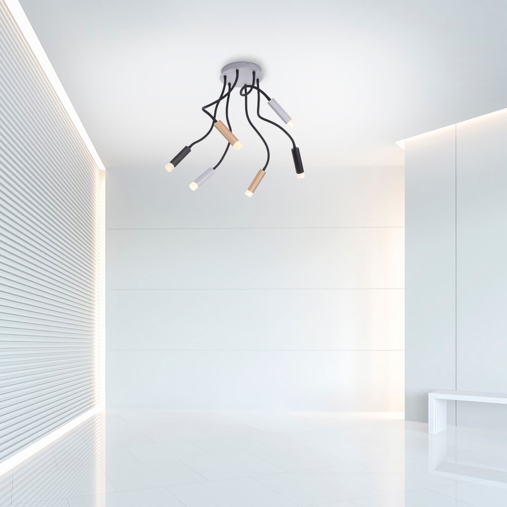 Plafonnier Paul Neuhaus PURE-GEMIN LED Aluminium, Laiton, Noir, 6 lumières main product photo