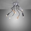 Plafonnier Paul Neuhaus PURE-GEMIN LED Aluminium, Laiton, Noir, 6 lumières