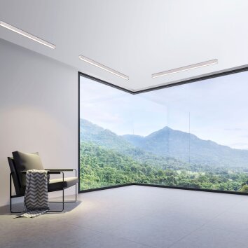 Plafonnier Paul Neuhaus PURE-LINES LED Aluminium, 1 lumière, Télécommandes