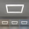 Plafonnier Paul Neuhaus PURE-LINES LED Aluminium, 1 lumière, Télécommandes