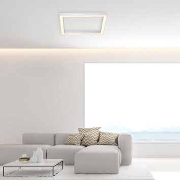 Plafonnier Paul Neuhaus PURE-LINES LED Aluminium, 1 lumière, Télécommandes