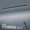 Plafonnier Paul Neuhaus PURE-LINES LED Anthracite, 1 lumière, Télécommandes