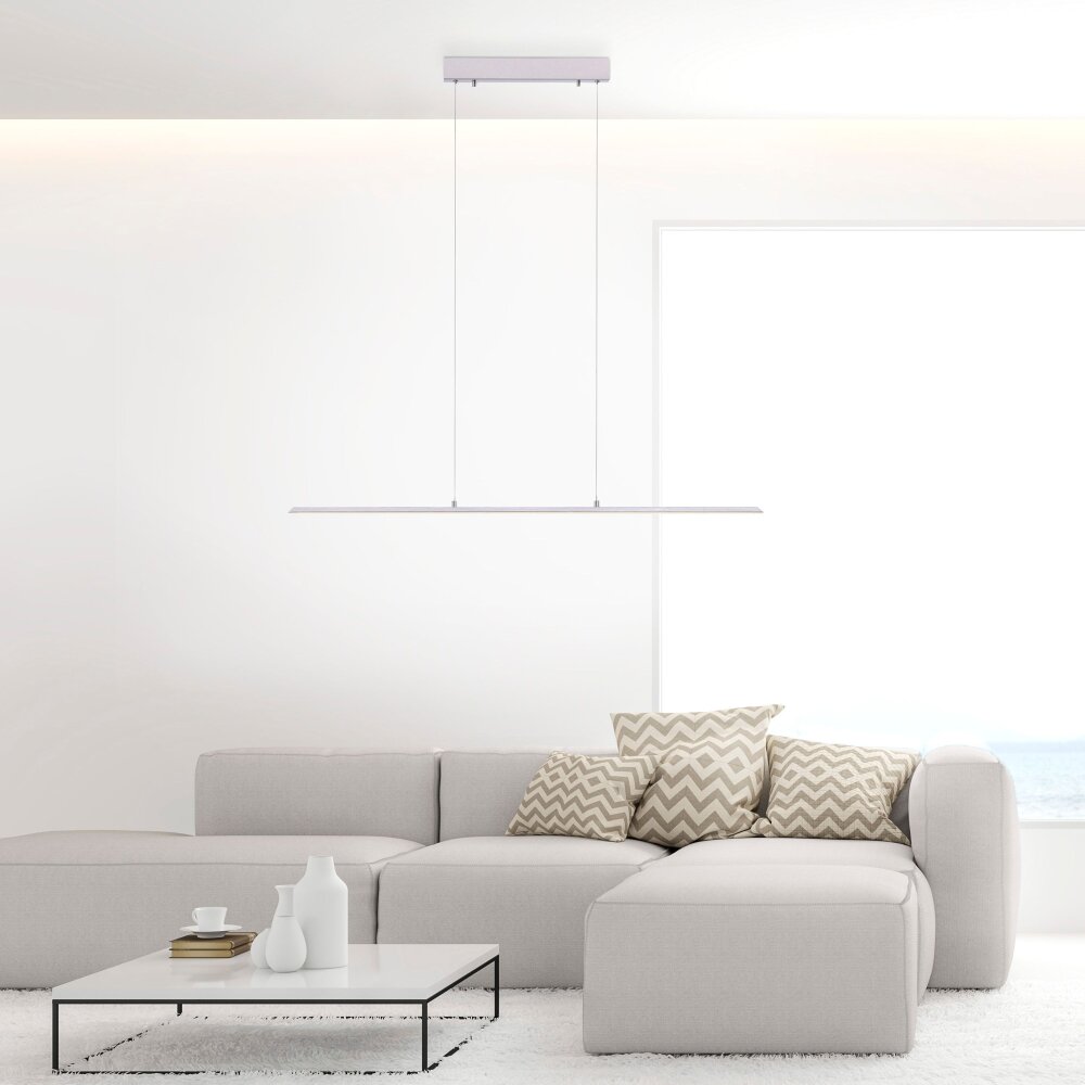 Suspension Paul Neuhaus PURE-LITE LED Acier inoxydable, 1 lumière main product photo