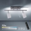 Plafonnier Paul Neuhaus PURE-MIRA LED Aluminium, 2 lumières, Télécommandes