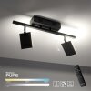 Plafonnier Paul Neuhaus PURE-MIRA LED Noir, 2 lumières, Télécommandes
