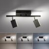 Plafonnier Paul Neuhaus PURE-MIRA LED Noir, 2 lumières, Télécommandes