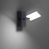 Applique murale Paul Neuhaus PURE-MIRA LED Noir, 2 lumières, Télécommandes