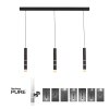 Suspension Paul Neuhaus PURE-VEGA LED Noir, 9 lumières