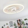 Ventilateur de plafond Oleiro LED Gris, Blanc, 1 lumière, Télécommandes