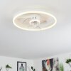 Ventilateur de plafond Oleiro LED Gris, Blanc, 1 lumière, Télécommandes