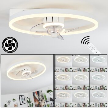 Ventilateur de plafond Oleiro LED Gris, Blanc, 1 lumière, Télécommandes