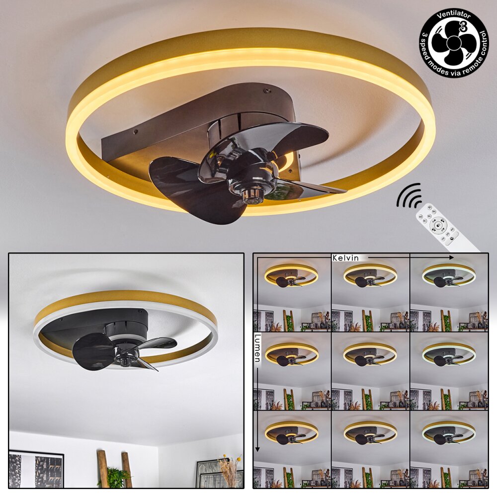 Ventilateur de plafond Oleiro LED Or, Noir, Blanc, 1 lumière, Télécommandes main product photo