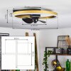 Ventilateur de plafond Oleiro LED Or, Noir, Blanc, 1 lumière, Télécommandes