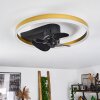 Ventilateur de plafond Oleiro LED Or, Noir, Blanc, 1 lumière, Télécommandes