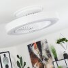 Ventilateur de plafond Azenha LED Blanc, 1 lumière, Télécommandes