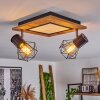 Plafonnier Bardhaman LED Noir, 3 lumières