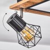 Plafonnier Bardhaman LED Noir, 3 lumières