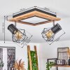 Plafonnier Bardhaman LED Noir, 3 lumières