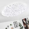 Plafonnier Adegoiva LED Blanc, 1 lumière
