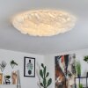 Plafonnier Adegoiva LED Blanc, 1 lumière