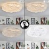 Plafonnier Adegoiva LED Blanc, 1 lumière