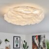 Plafonnier Adegoiva LED Blanc, 1 lumière