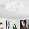 Plafonnier Adegoiva LED Blanc, 1 lumière